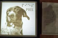 IMG_20251120_104329540