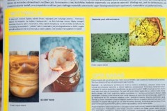 explory_2-27