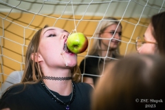 DSC_2346