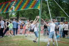 MRS_0353