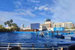 IMG_20251130_135308