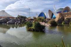 IMG_20251130_140420