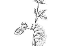 Marcel-Zielinski-Kolory-Milosci