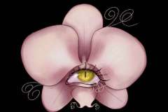 Zuzanna-Lemanska-wiersz-4-Natchnienie