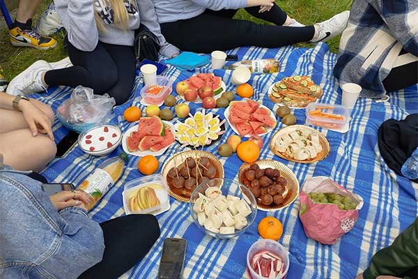 Piknik na Trawie w Ekonomiku